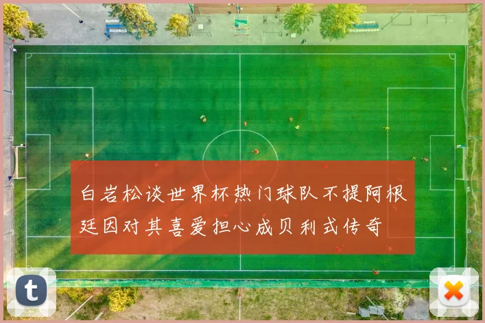 白岩松谈世界杯热门球队不提阿根廷因对其喜爱担心成贝利式传奇
